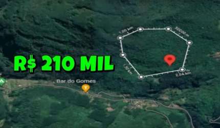 [117043] SÍTIO COM 30 HECTARES ESCRITURADAS, VERTENTE, 50 ARAUCÁRIAS, MATA NATIVA, ESTRADA