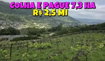 [595]  SÍTIO EM IGREJINHA 7,3HA COM PESQUE, COLHA E PAGUE, CASA, PISCINA, MUITO POMAR, CANTINA DE VINHO