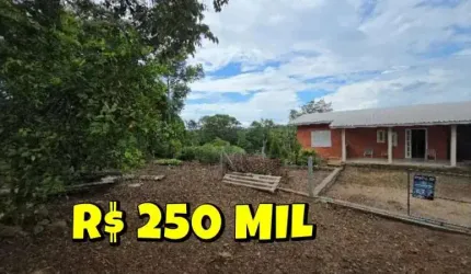 [621] CHÁCARA EM TAQUARA 8000M² CASA ENORME FIBRA ÓTICA ÁGUA ENCANADA ROÇA E MATA NATIVA
