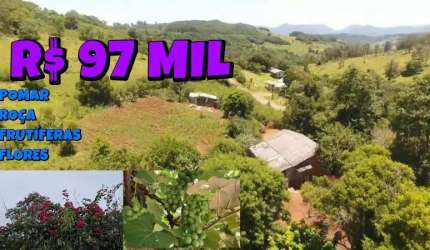 [760] CHÁCARA EM PALMEIRA DO SERTÃO, COM 4150M² ALUGA OU VENDE