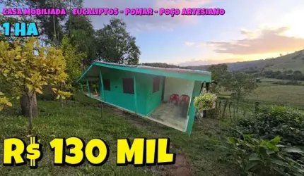 [802] CHÁCARA EM PORTO RAMOS 1 HA CASA MOBILIADA, FRUTÍFERAS, GALPÃO PARA LENHA E APROX. 600 PÉS DE EUCALIPTO