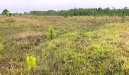 [477]  FAZENDA EM SÃO SIMÃO, MOSTARDAS RS 400HA, ESCRITURADA, COM LAGOA, ACESSO AO MAR