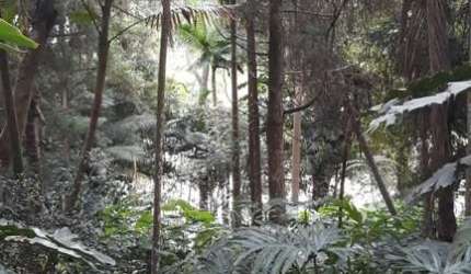 Terreno à venda na Rua Riese, Sete Praias, São Paulo, 3850 m2 por R$ 820.000