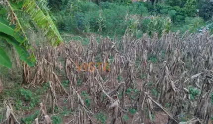 Lote / Terreno em Jardim Terras Do Alegre  -  Águas da Prata