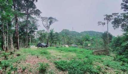 Sítio com 1 dormitório à venda, 22000 m² por R$ 400.000 - Penteado - Embu-Guaçu/SP