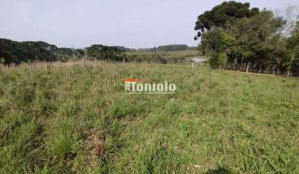 Chácara à venda, Borda do Campo - São José dos Pinhais/PR
