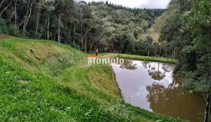 Chácara Colônia Malhada São José dos Pinhais