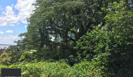 Terreno Setimo Ceu.