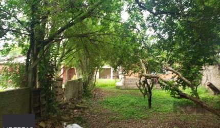 Terreno em Belém Velho