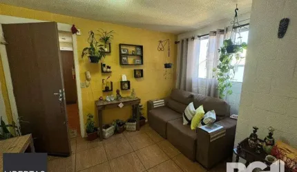 Apartamento em Campo Novo
