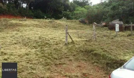 Terreno em Lageado