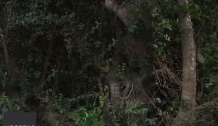 Terreno para Venda - 0m², 0 dormitórios, Hípica