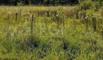 Terreno para Venda - 0m², 0 dormitórios, Hípica