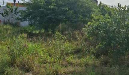 VENDO TERRENO 6X25.87 NO LOTEAMENTO IPANEMA RESIDENCE PARK