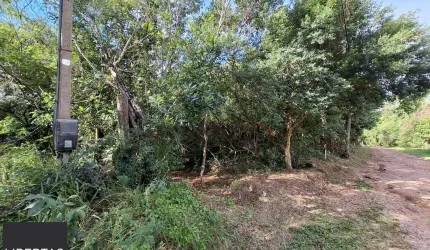 Terreno a venda medindo 20 de frente por 71,59 de extenção. - Av Costa Gama.