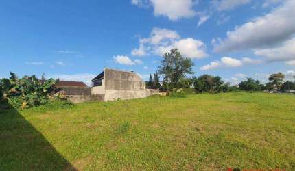Terreno para alugar, 4000 m² por R$ 15.000 + taxas/mês - Costa e Silva - Joinville/SC