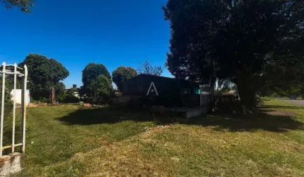 Terreno à venda no Bairro CASCAVEL VELHO em CASCAVEL por R$ 380.000,00