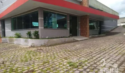 Chácara com  tanques e salão de eventos à venda, 36300 m² por R$ 3.400.000 - Roça Velha - São José dos Pinhais/PR