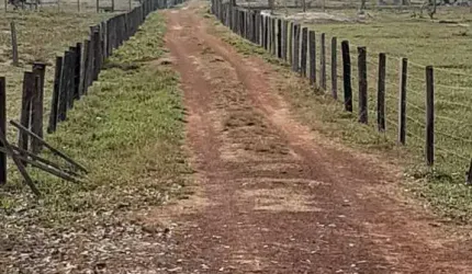 Sítio para Venda em Santo Antônio do Leverger, AGRO VILA DAS PALMEIRAS, 2 dormitórios, 1 suíte, 2 banheiros