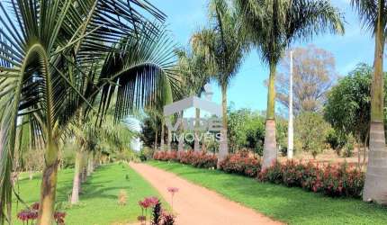 SITIO A VENDA EM AMPARO, SITIO NOVA ALVORADA COM MATA NATIVA.