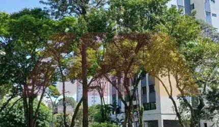 Apartamento de 2 dormitórios, sala 2 ambientes, cozinha e banheiro a venda no Lauzane Paulista