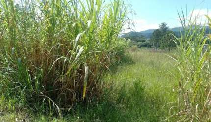 Terreno à venda na Rua das Dracenas, --, Jardim Estância Brasil, Atibaia por R$ 330.000