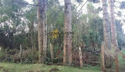 Terreno Lote para Venda em Rio de Una São José dos Pinhais-PR