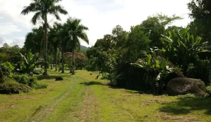 Chácara  para Venda em Rio Cedro Antonina-PR