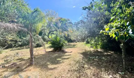Terreno à Venda em São João do Rio Vermelho - R$520.000