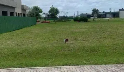 Terreno à venda no Arroio Teixeira, Capão da Canoa , 300 m2 por R$ 250.000