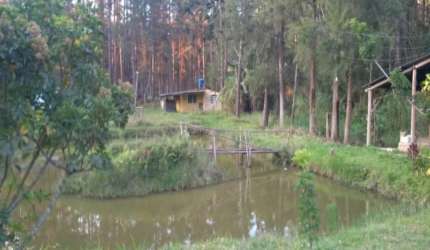 EXCELENTE CHÁCARA COM ESCRITURA DE 12.000 M²/CASA SEDE/ LAGO À VENDA EM MOGI DAS CRUZES