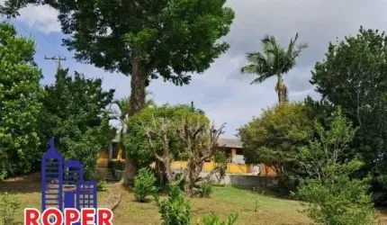 OPORTUNIDADE!! CHÁCARA COM ESCRITURA E QUE ACEITA FINANCIAMENTO BANCÁRIO  DE 1.000 M²/CASA SEDE/PISCINA/ÁREA GOURMET À VENDA EM SUZANO