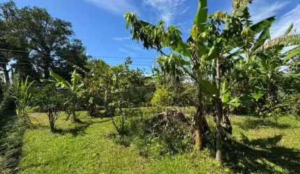 Terreno à 900m do mar em Itanhaém.