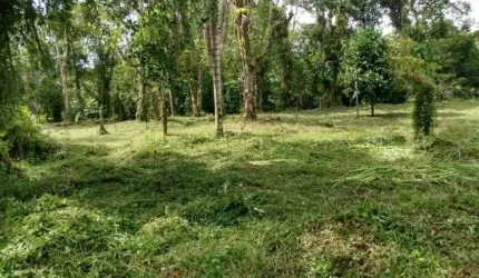 Terreno com escritura em Itanhaém.