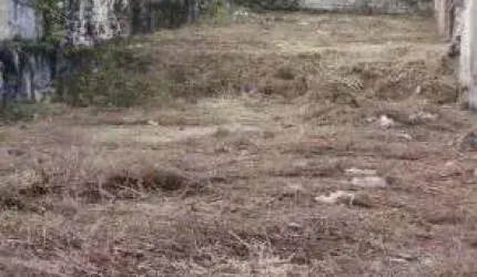 Terreno com liberação ambiental e escritura em Itanhaém.