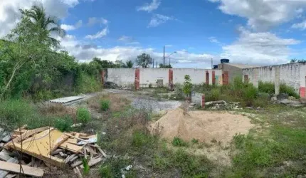 Terreno com liberação ambiental e murado em Peruíbe.