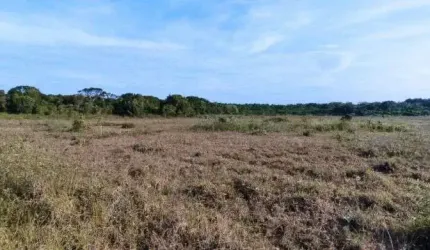 Terreno frente ao mar com escritura em Itanhaém.