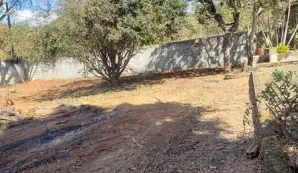 EXCELENTE LOTE, MURADO, PÉS DE FRUTA, ÓTIMA VIZINHANÇA