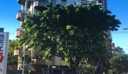 APARTAMENTO no CENTRO com 3 quartos para LOCAÇÃO, 297 m²