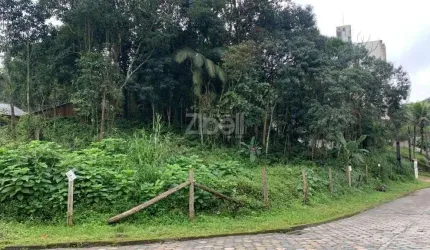 TERRENO no COSTA E SILVA com 0 quartos para VENDA, 1200 m²