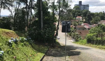 TERRENO no FLORESTA com 0 quartos para VENDA, 371 m²