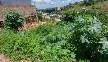 Oportunidade Única em MURIAE - MG | Tipo: Terreno | Negociação: Venda Direta Online  | Situação: Imóvel