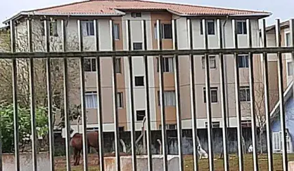 Oportunidade Única em CURITIBA - PR | Tipo: Apartamento | Negociação: Licitação Aberta  | Situação: Imóvel