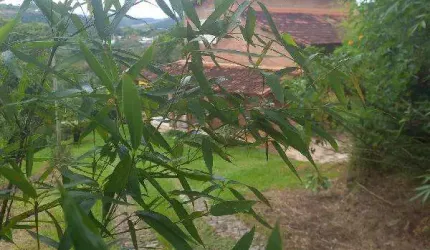 Oportunidade Única em ITABIRITO - MG | Tipo: Casa | Negociação: Leilão  | Situação: Imóvel