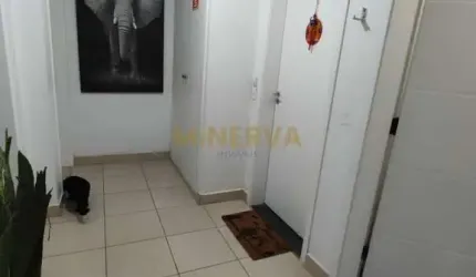 Apartamento - Ponte Grande - Guarulhos/SP