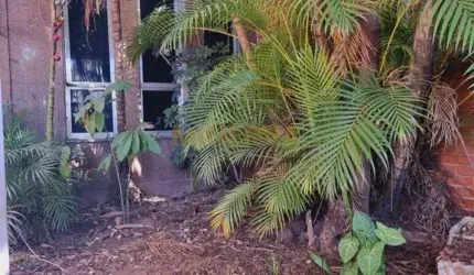 Casa - Vila Ré  -  São Paulo,SP