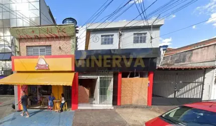 Lote / Terreno - Vila Guilhermina  -  São Paulo,SP