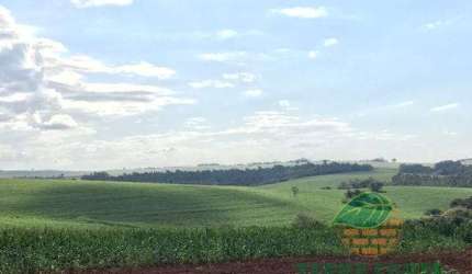 Sítio para loteamento à venda,  774400M², Vila Ipiranga, Londrina - PR