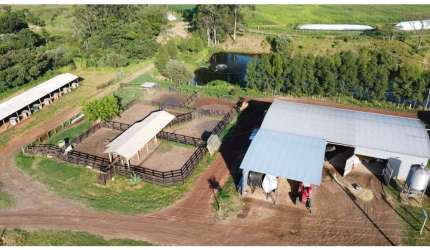 Ótima Fazenda 212 hectares para Leite e corte em BROTAS - SP - PORTEIRA FECHADA