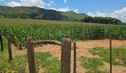 Sitio com 45 hectares na Serra da Canastra - Delfinópolis MG